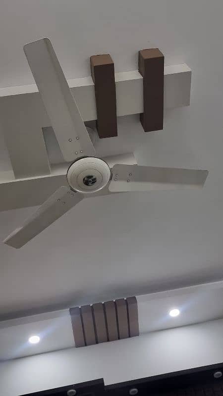 Ceiling Fan (Pak Fan) 1