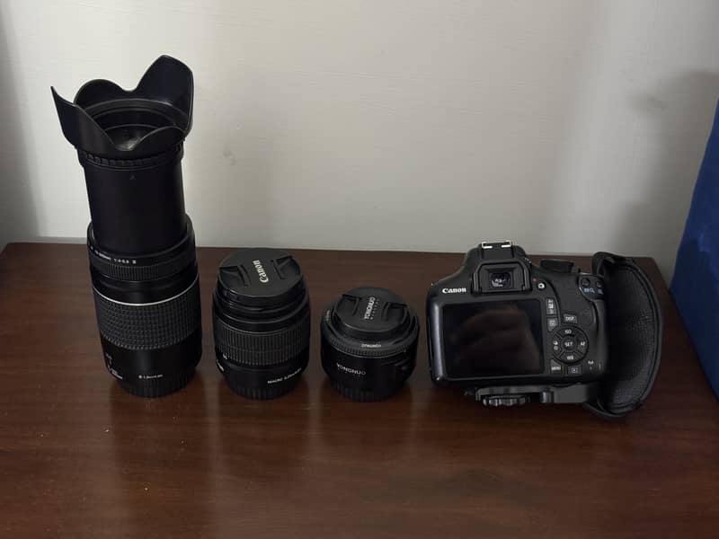 canon rebel T6 (american model) with 3 lenses, 75-300mm, 50mm, 18-55mm 4