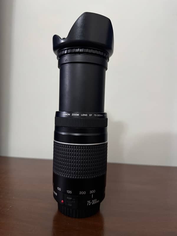 canon rebel T6 (american model) with 3 lenses, 75-300mm, 50mm, 18-55mm 10