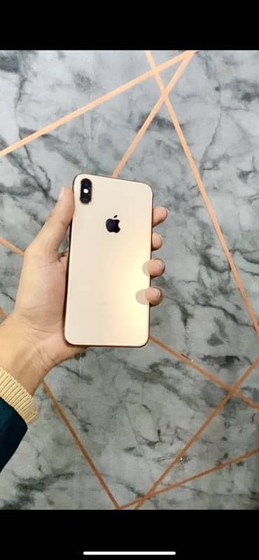 Iphone Xs max 256 Pta 4