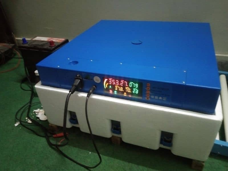 Chinese incubator for sell 1