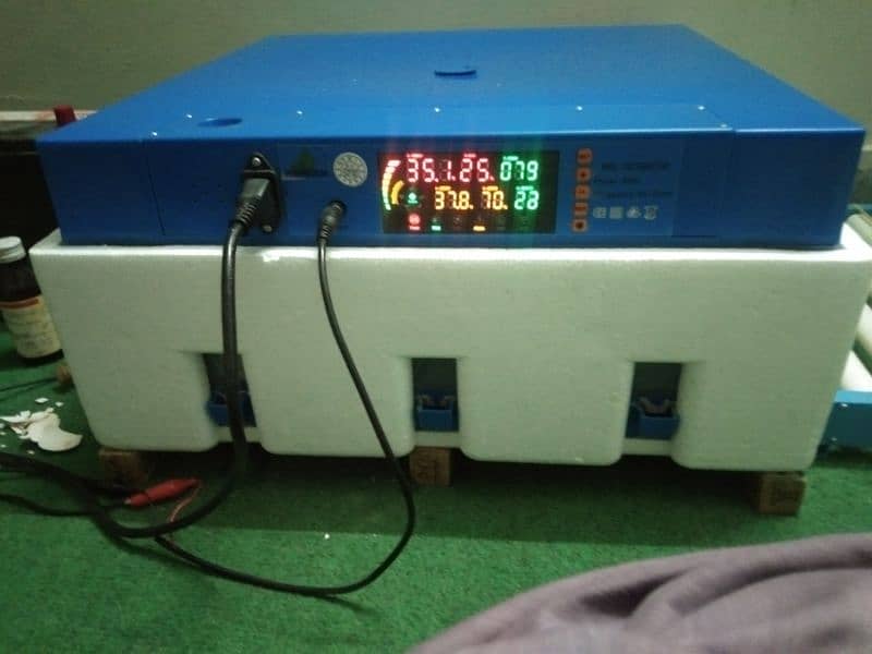 Chinese incubator for sell 2