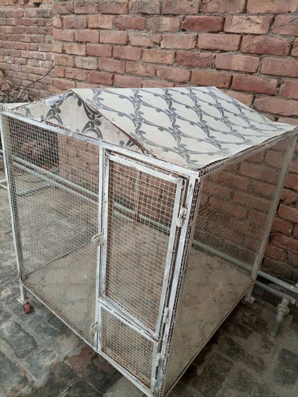 iron and fiber glass cage for birds or animals 2