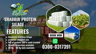 Corn Silage/Maki Silage/Animal Feeds