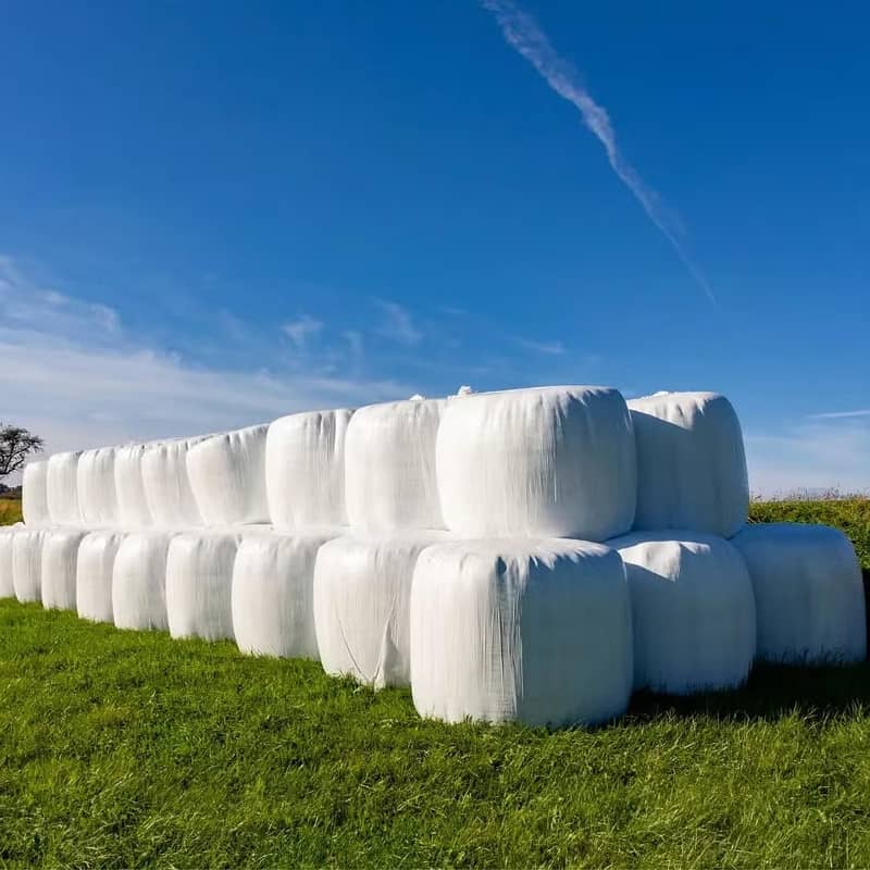 silage/corn silage/maki silage/animal feed/100% Grain Silage 5