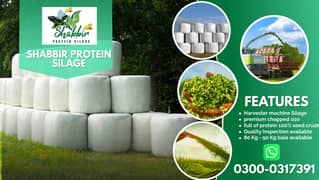 silage/corn silage/maki silage/animal feed