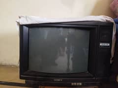 T . V