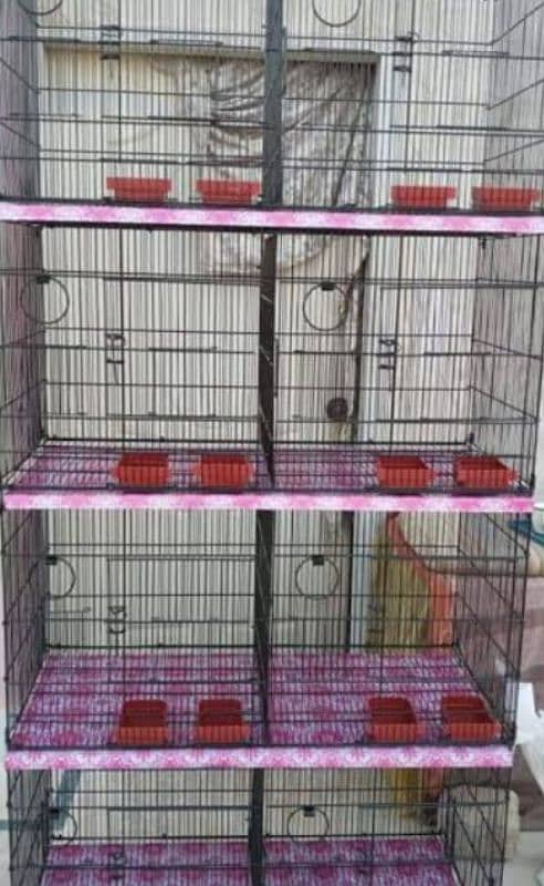 Red pied piar & cage fore sale 5