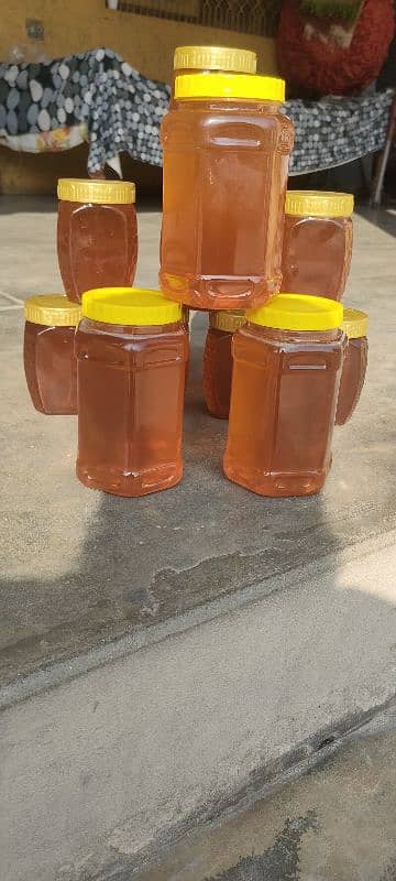 Siddar  Honey 1