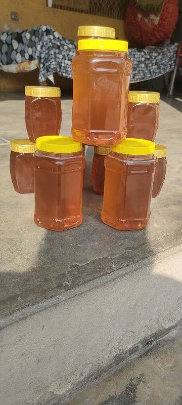 Siddar  Honey 2