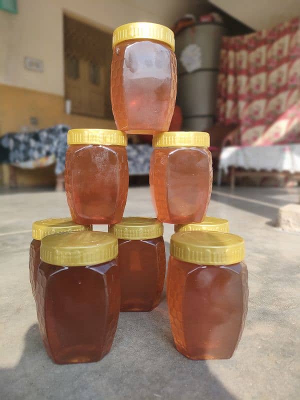 Siddar  Honey 4