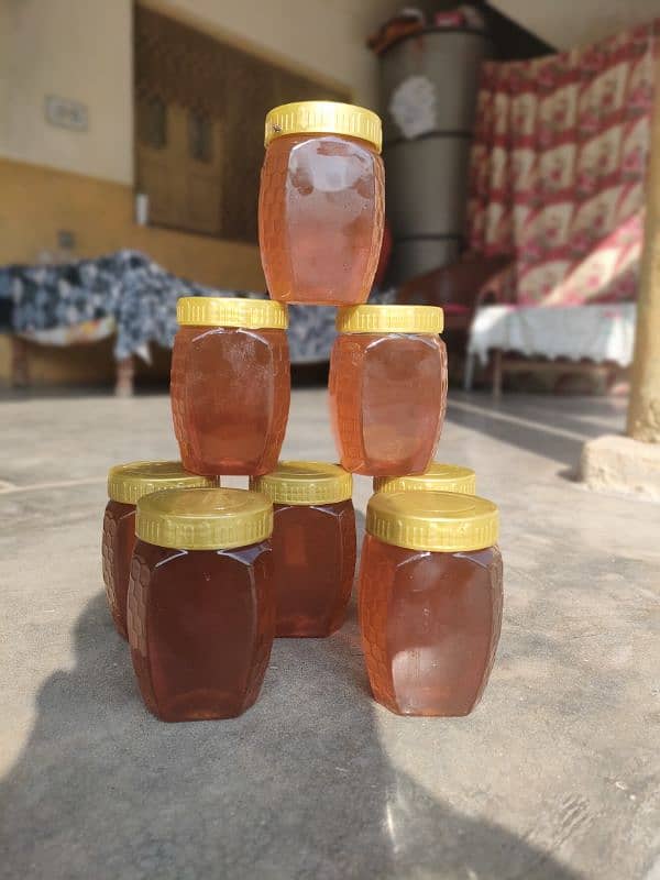 Siddar  Honey 6