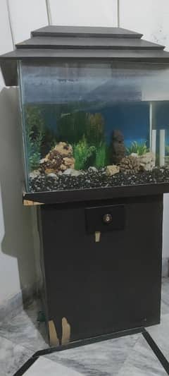 Aquarium for sale complete with decorations, pump and heater