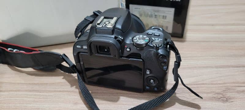 canon 200D with 50MM 1.8 stm 3