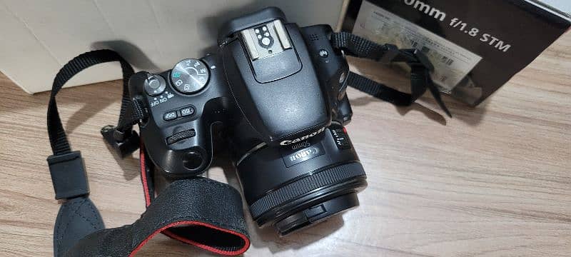 canon 200D with 50MM 1.8 stm 4