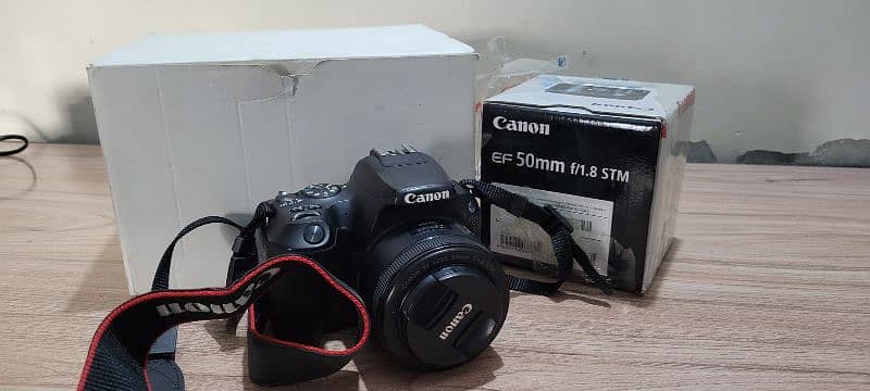 canon 200D with 50MM 1.8 stm 5