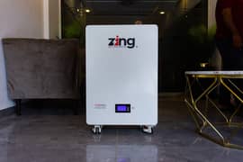 ZING LITHIUM ION 24V 48V 100AH