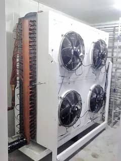 Cold Room Construction Services