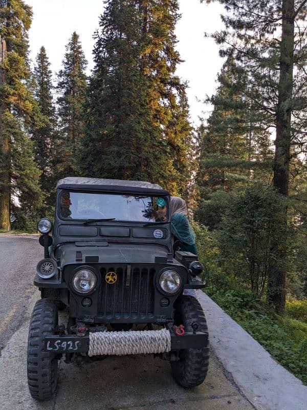 Willys Jeep 1952 5