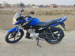 Yamaha YBR 125 (Blue) 2021