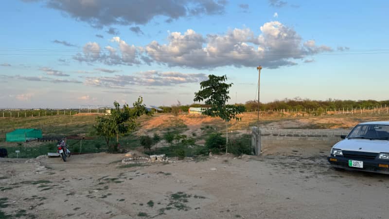 Olive Farm House Land For Sale Chakwal 18