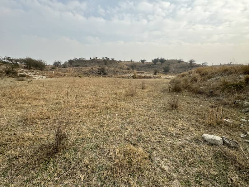 160 Land Chakwal Fish Pond Olive Land 15