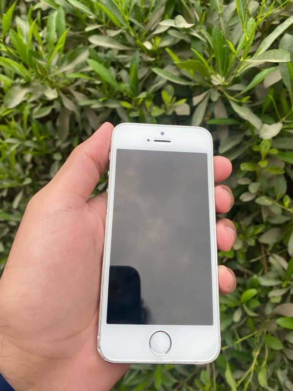 iphone 5s white non pta 2