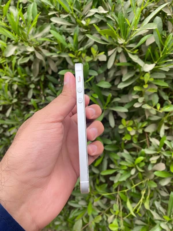 iphone 5s white non pta 3