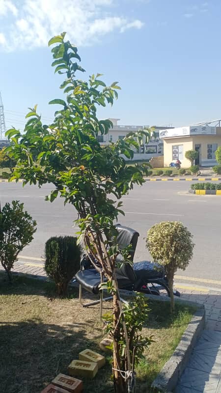 7 marla plot for sale in b. 17 islamabad 0