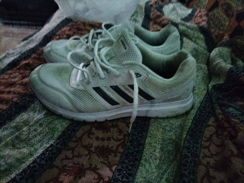 Adidas shoes 1