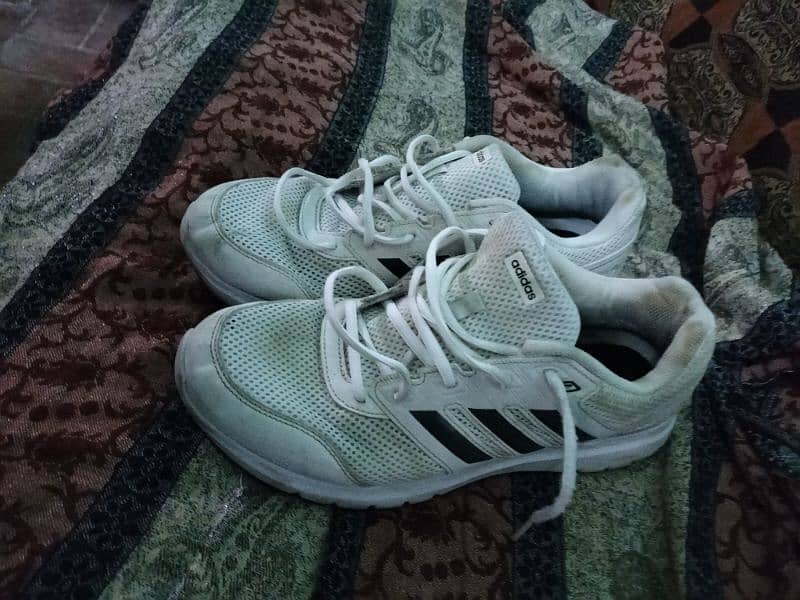 Adidas shoes 4