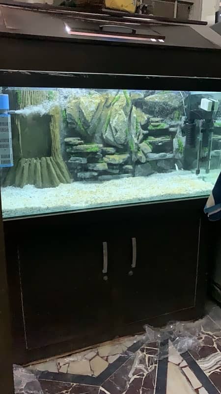 Fish Aquarium 0