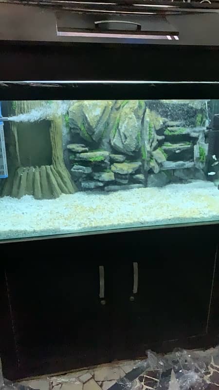 Fish Aquarium 4