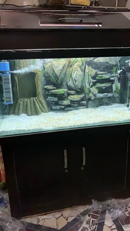 Fish Aquarium 7