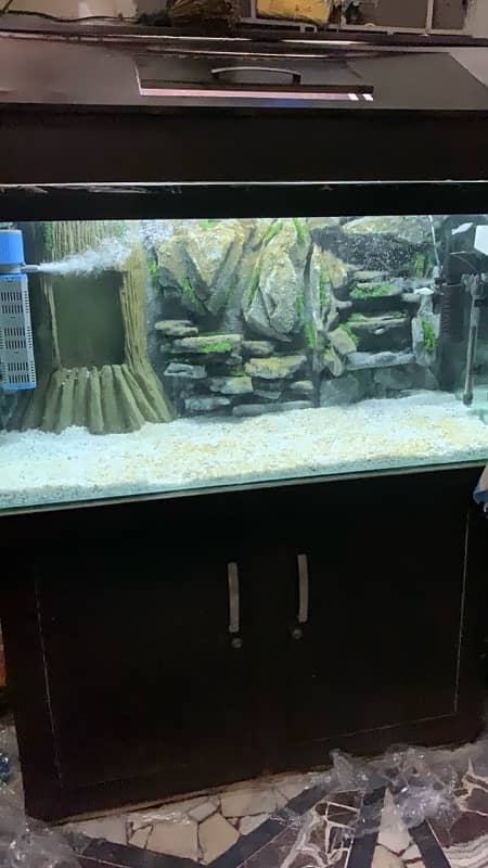 Fish Aquarium 8