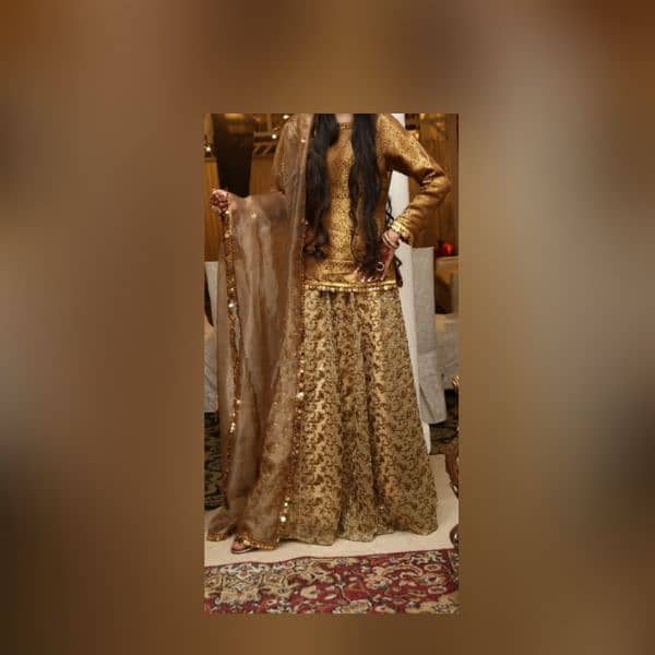 duppata tissue shirt jamawar and lehnga full embroidered 1