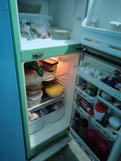 singer fridge