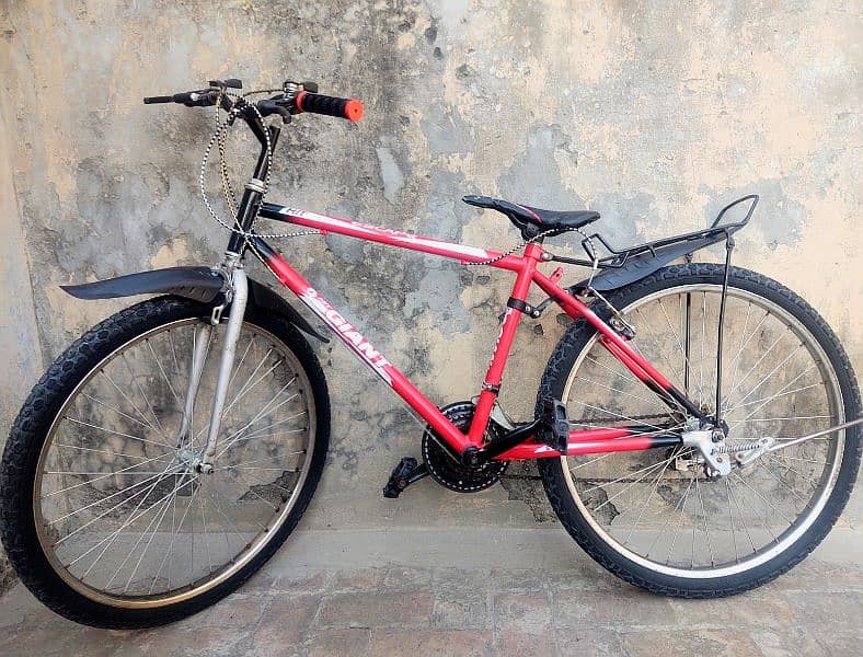 Phoenix Giant - Road Bicycle For Sale!! 2