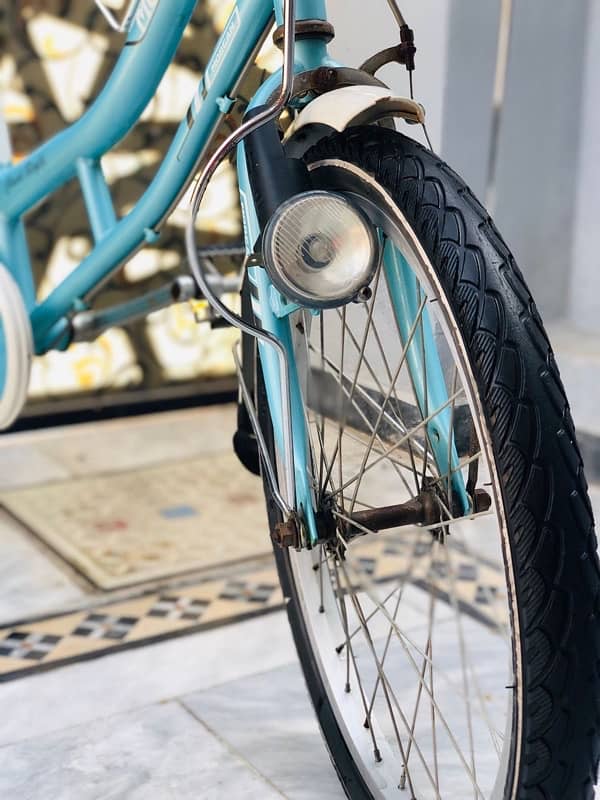 Morgan Japinese Cycle Slim Tyres 1