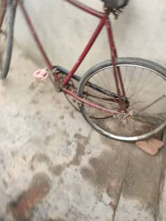 bahtreen cycle hai phly chlta tha ab bike le hai is liya sell krne hai