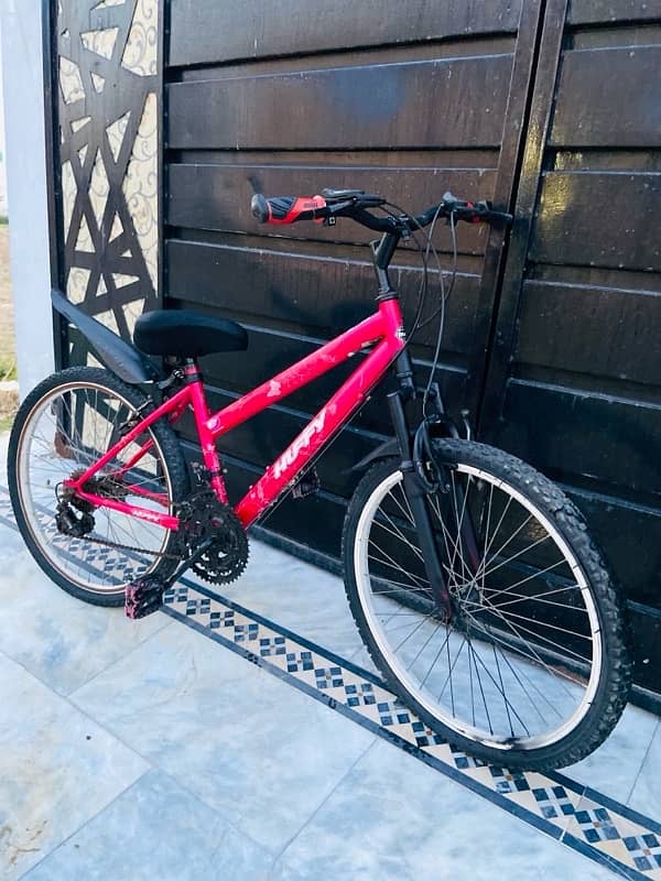 Japinese Cycle 24 inches 0