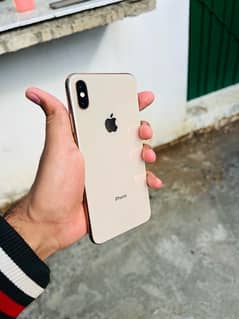 xs Max Pta Prove 256GB