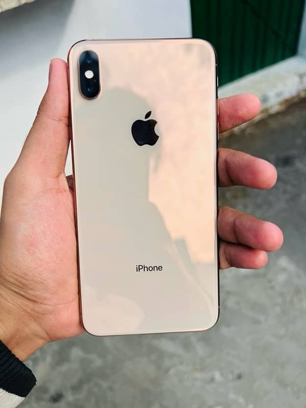 xs Max Pta Prove 256GB 5