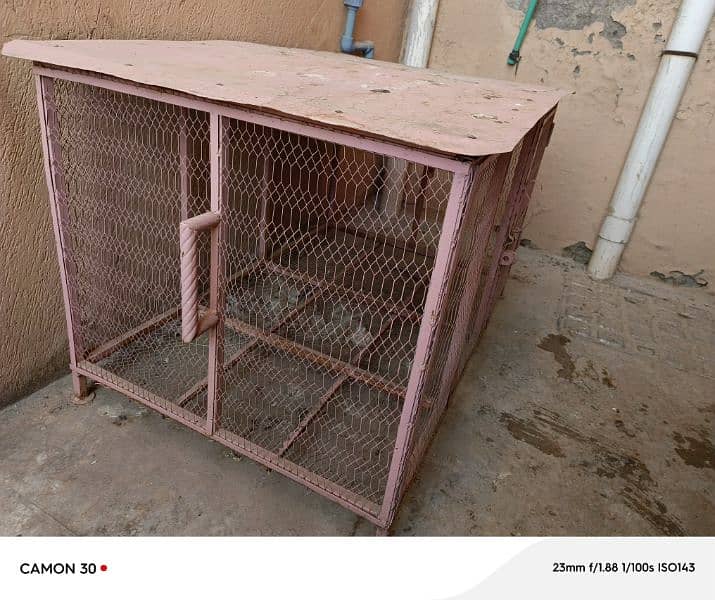 hen cage 2