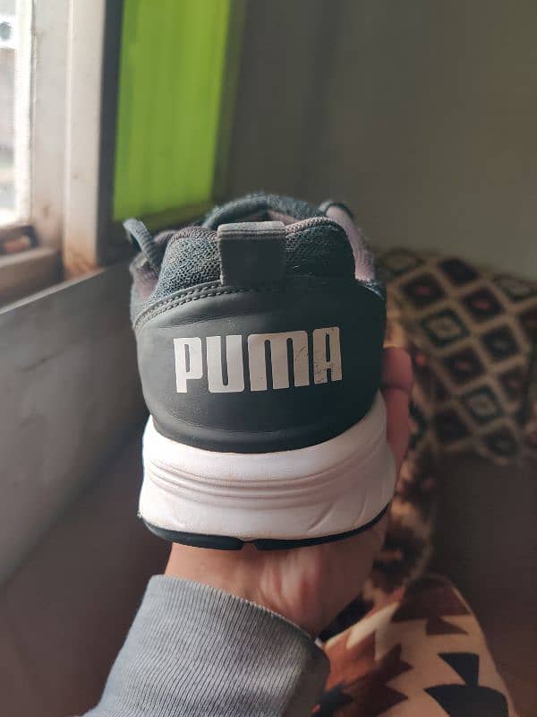 Original Puma Shoes 3