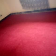 new carpet for sale