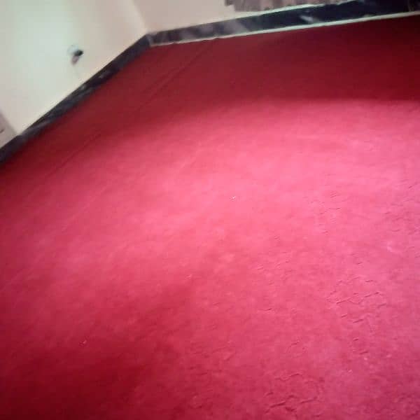 new carpet for sale 1