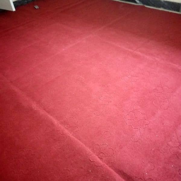 new carpet for sale 2