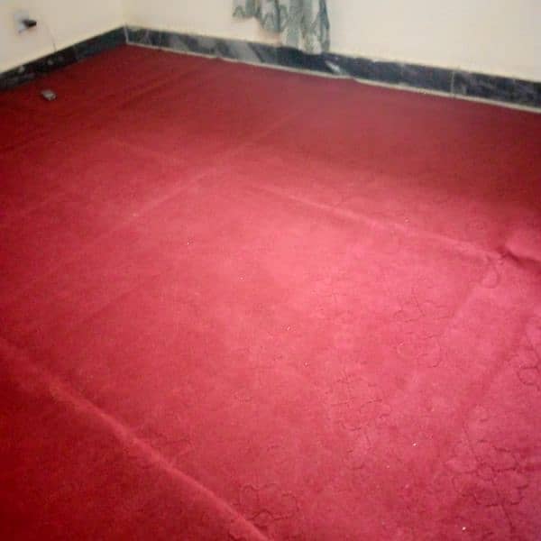 new carpet for sale 3