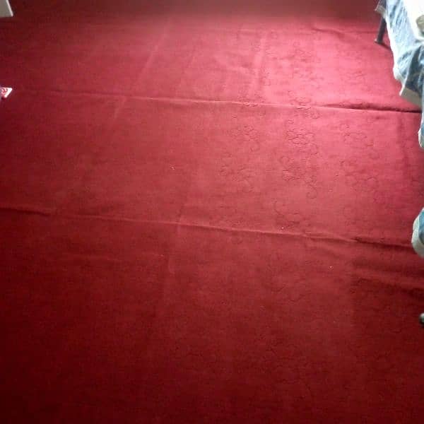 new carpet for sale 4